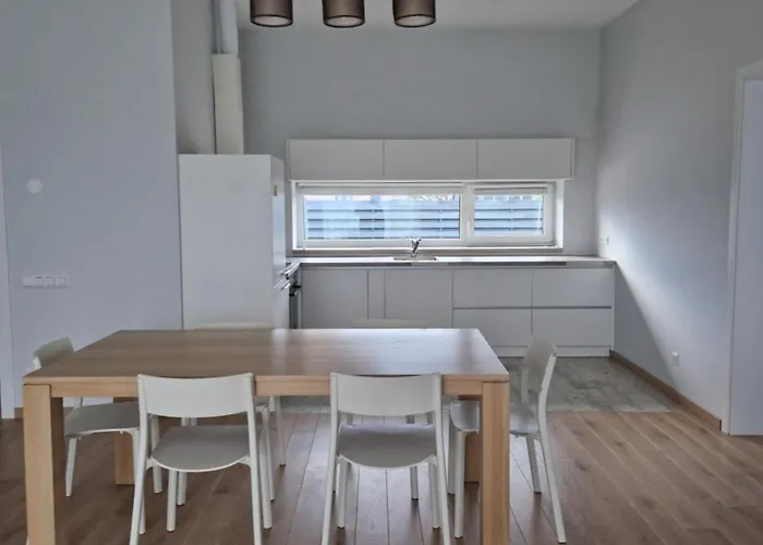 Apartament Ig House Druskieniki