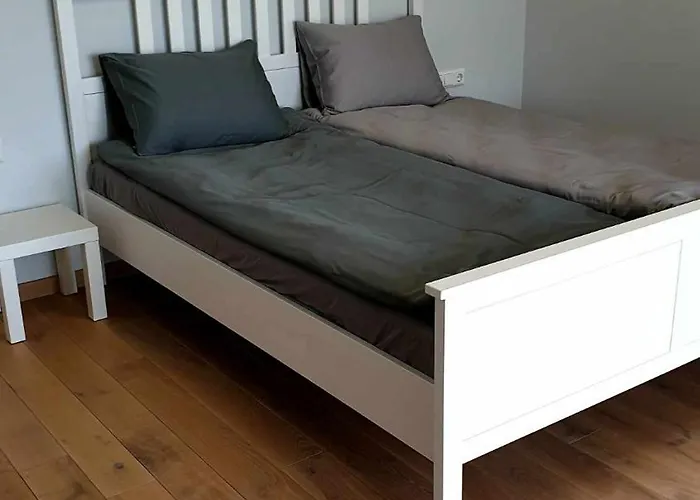 Ig House * Druskieniki